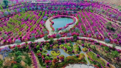 微信图片_2026-01-30_091111_378