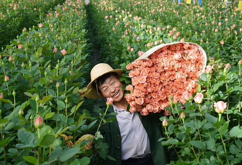 d33a0bce085894106cfb9edcfa9b3f03