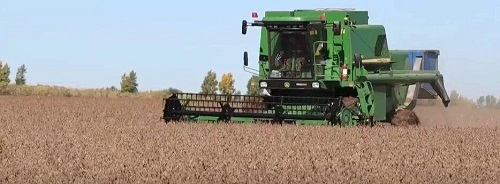 33d33bee673a0b5d039b5dfb259b833e