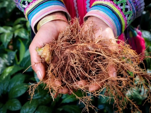 微信图片_2026-03-17_092428_569